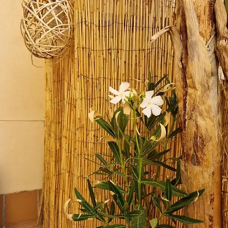 Appartement - Con Terraza A 1 Minuto De La Plaza Mayor *