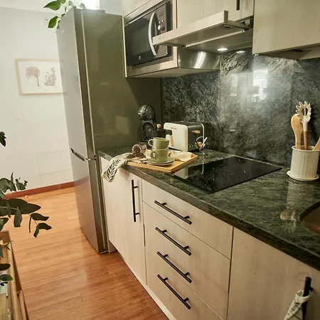 Appartement - Con Terraza A 1 Minuto De La Plaza Mayor