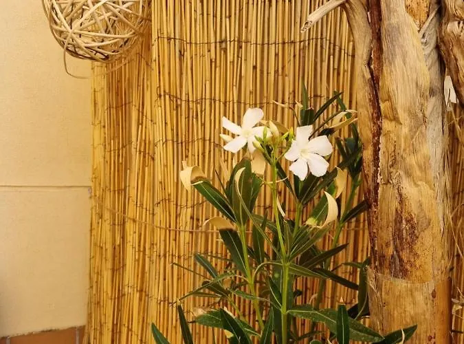 Apartment - Con Terraza A 1 Minuto De La Plaza Mayor *